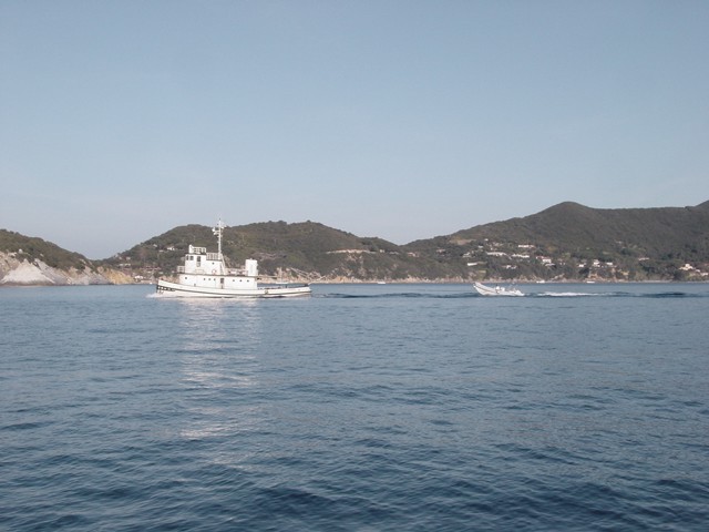 dsc06533.jpg_ix.med.jpg