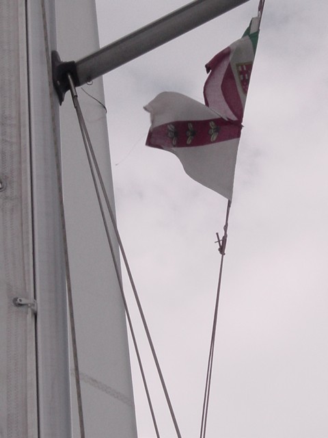 dsc06564.jpg_ix.med.jpg