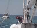 dsc05981.jpg_ix.small.jpg
