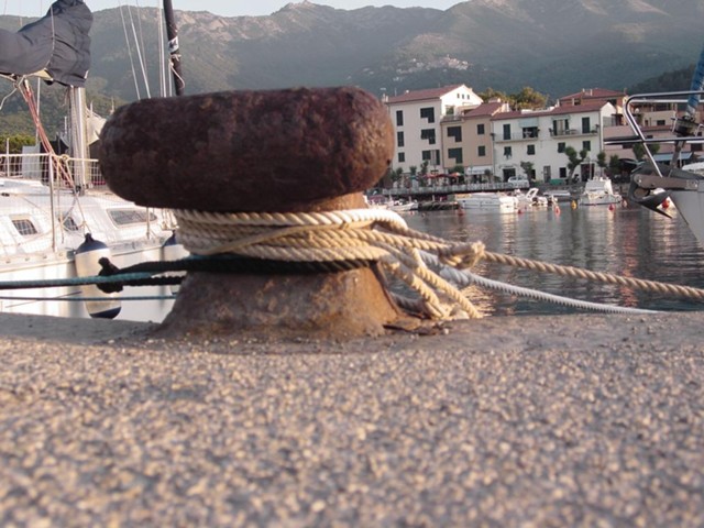 dsc00763.jpg_ix.med.jpg