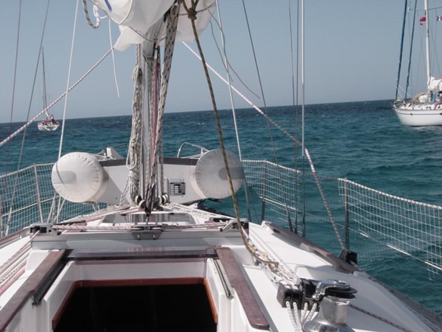 dsc00695.jpg_ix.med.jpg