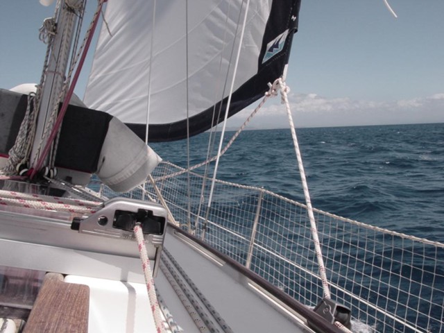 dsc00716.jpg_ix.med.jpg
