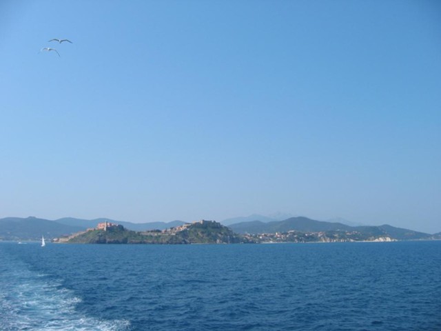 k2003_ms_0079.jpg_ix.med.jpg