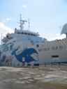 k2003_ms_0004.jpg_ix.small.jpg