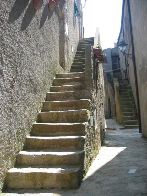 k2003_ms_0043.jpg_ix.med.jpg