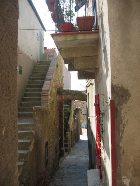 k2003_ms_0052.jpg_ix.med.jpg