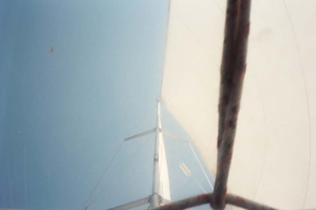 k2003_pg_0041.jpg_ix.med.jpg