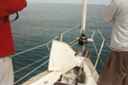 k2003_pg_0085.jpg_ix.small.jpg