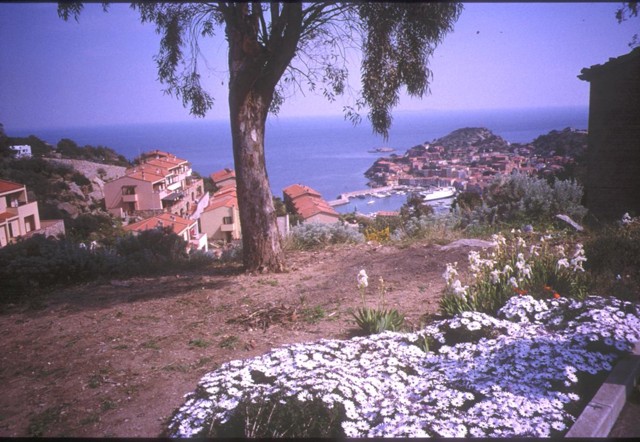 k2003_rh_0030.jpg_ix.med.jpg