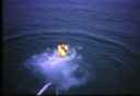 k2003_rh_0087.jpg_ix.small.jpg