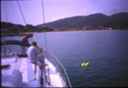 k2003_rh_0089.jpg_ix.small.jpg