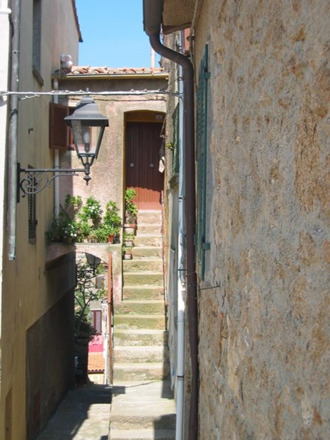 k2003_ms_0037.jpg_ix.med.jpg