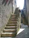 k2003_ms_0043.jpg_ix.small.jpg
