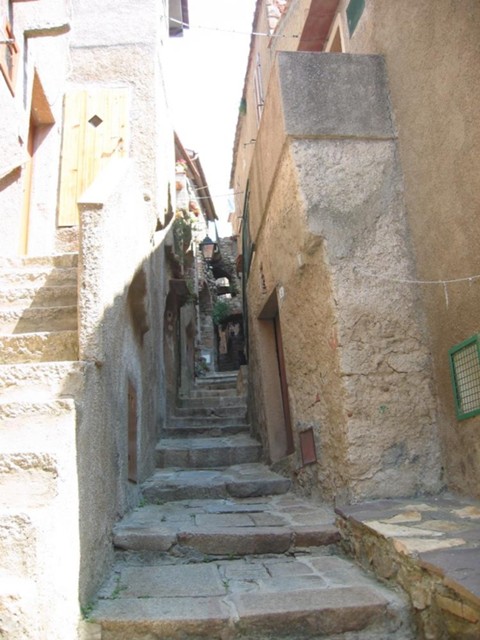 k2003_ms_0051.jpg_ix.med.jpg