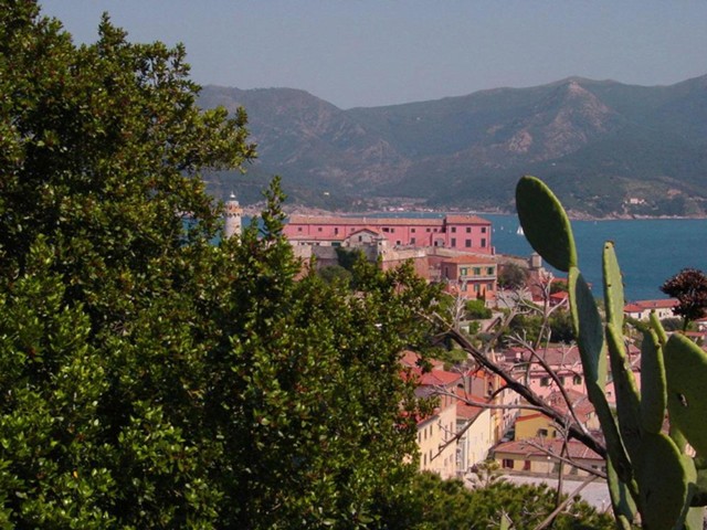 dsc03343.jpg_ix.med.jpg