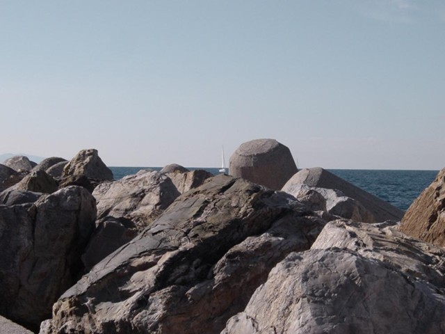 dsc03480.jpg_ix.med.jpg