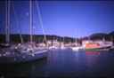 k2003_rh_0078.jpg_ix.small.jpg