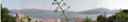 portoferraio_panorama.jpg_ix.small.jpg