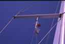 k2003_rh_0082.jpg_ix.small.jpg
