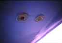 k2003_rh_0055.jpg_ix.small.jpg