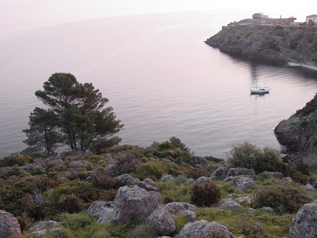 dsc03508.jpg_ix.med.jpg