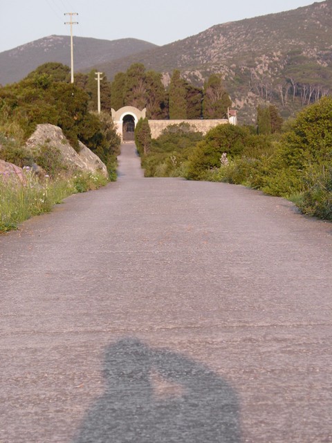 dsc03514.jpg_ix.med.jpg