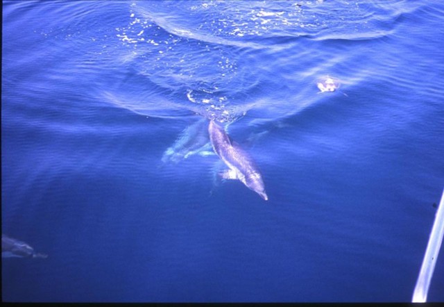 k2003_rh_0069.jpg_ix.med.jpg