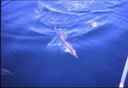 k2003_rh_0069.jpg_ix.small.jpg