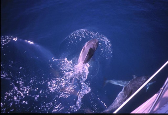 k2003_rh_0070.jpg_ix.med.jpg