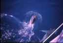k2003_rh_0070.jpg_ix.small.jpg