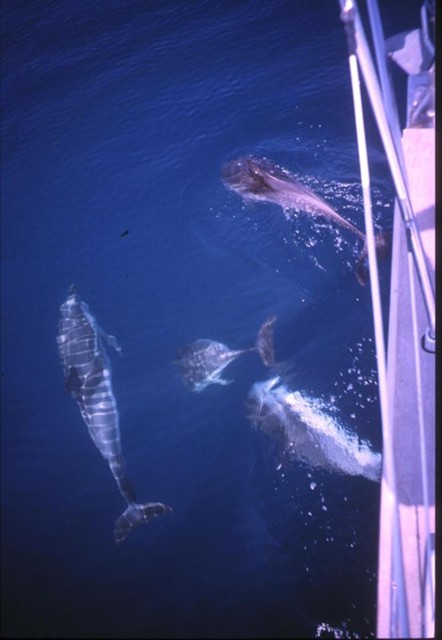 k2003_rh_0071.jpg_ix.med.jpg