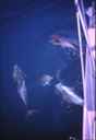 k2003_rh_0071.jpg_ix.small.jpg