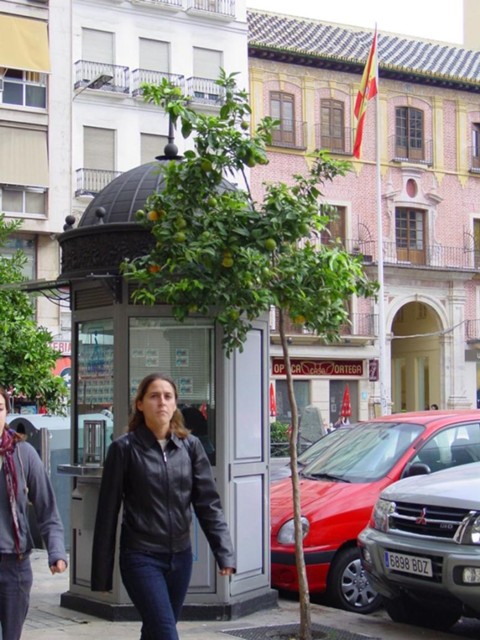 dsc00815.jpg_ix.med.jpg