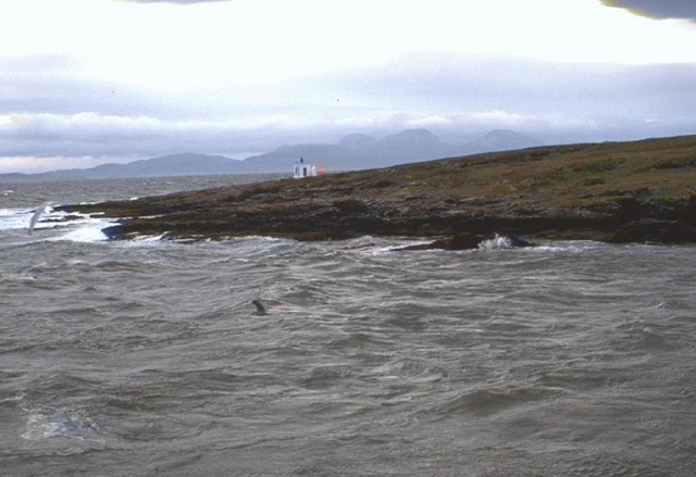 lighthouse.jpg_ix.med.jpg