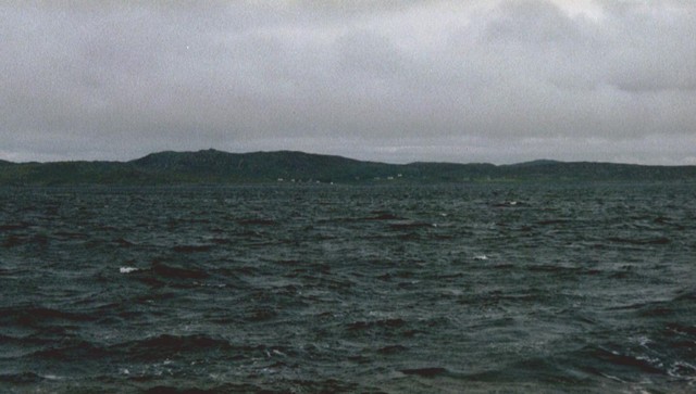 col-002_02.jpg_ix.med.jpg