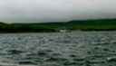 col-005_05.jpg_ix.small.jpg