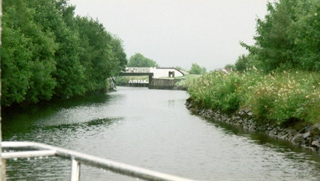 crin-005_05.jpg_ix.med.jpg