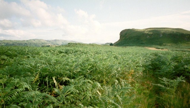 oban-021_21.jpg_ix.med.jpg